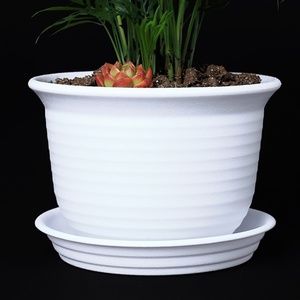 6” Plastic Round Drainage Plant Pot Saucer Tray White Outdoor Indoor flowers